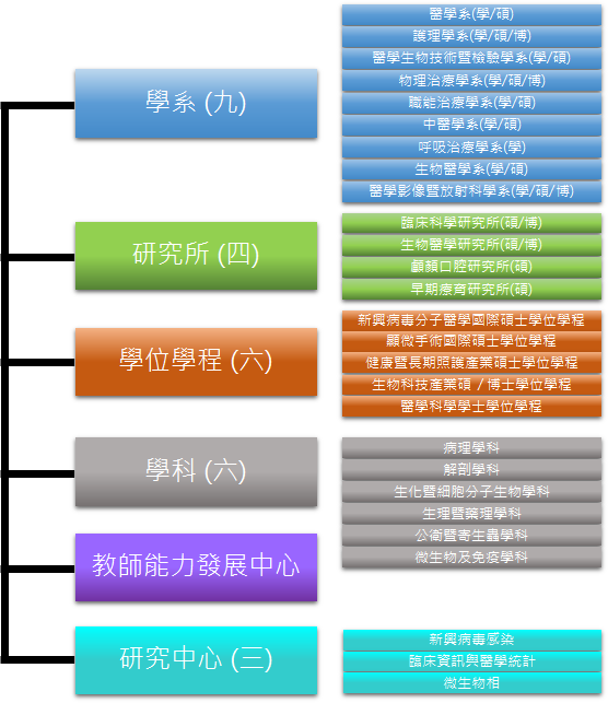 組織架構